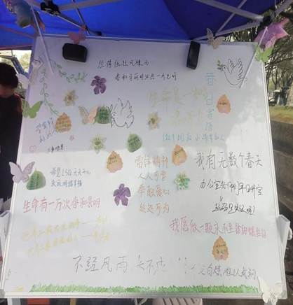 Image_40599579767791